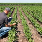 Tu cuaderno de explotación agrícola como herramienta clave diaria