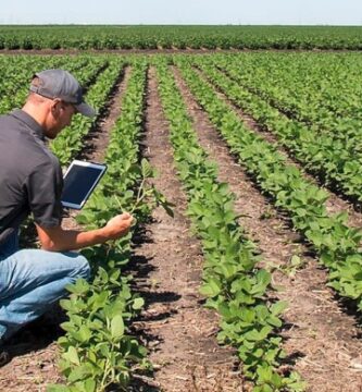 Tu cuaderno de explotación agrícola como herramienta clave diaria
