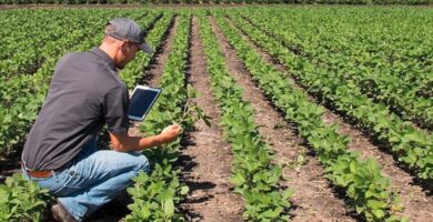 Tu cuaderno de explotación agrícola como herramienta clave diaria 4 Tu cuaderno de explotación agrícola como herramienta clave diaria