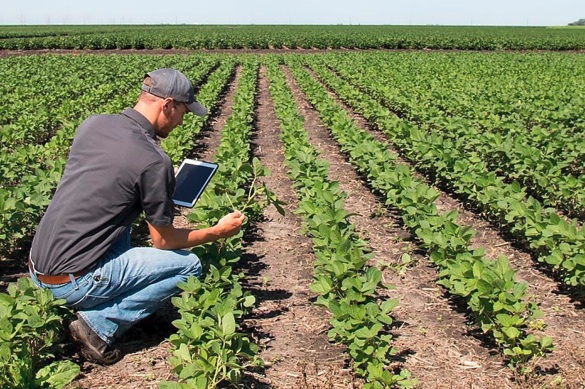 Tu cuaderno de explotación agrícola como herramienta clave diaria